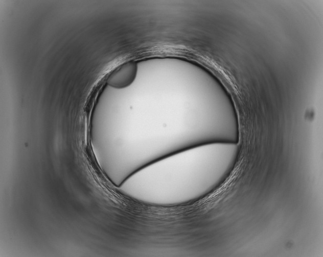 X0000101111219200806261101
