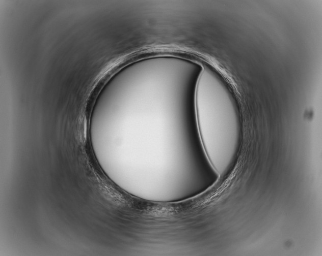 X0000101111221200806261101