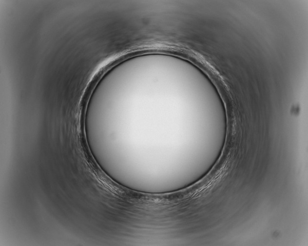 X0000101111222200806261101