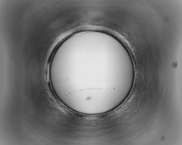 X0000101111223200806261101