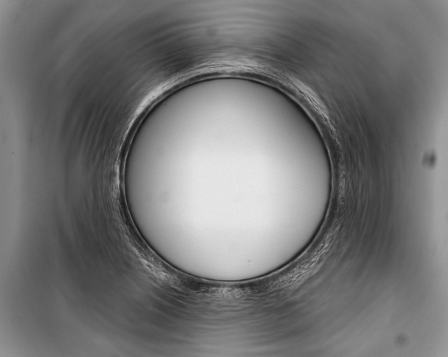 X0000101111226200806261101