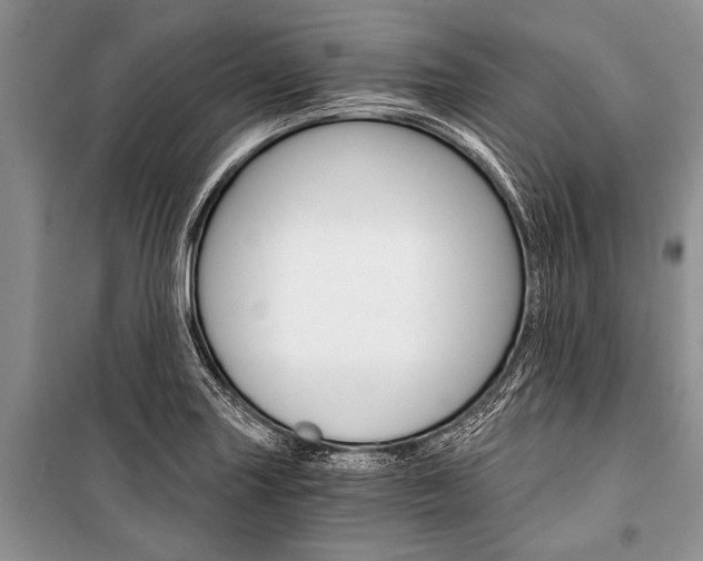 X0000101111227200806261101