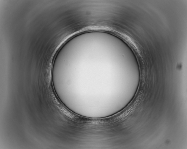 X0000101111228200806261101