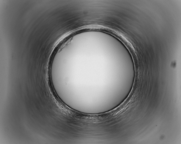 X0000101111229200806261101