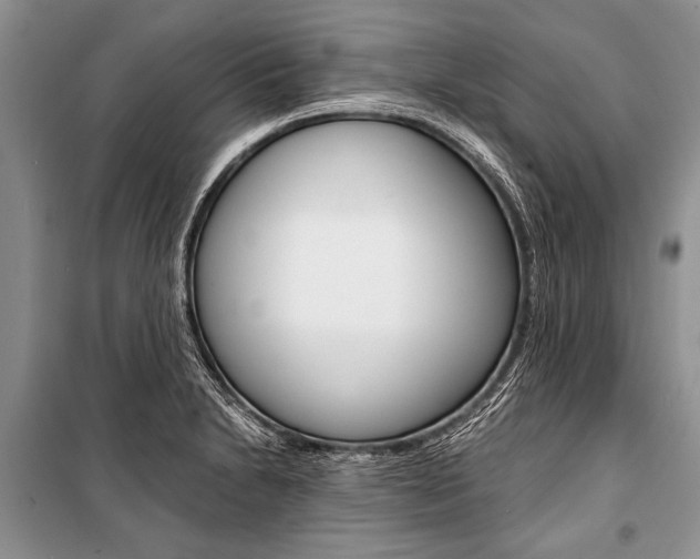 X0000101111230200806261101