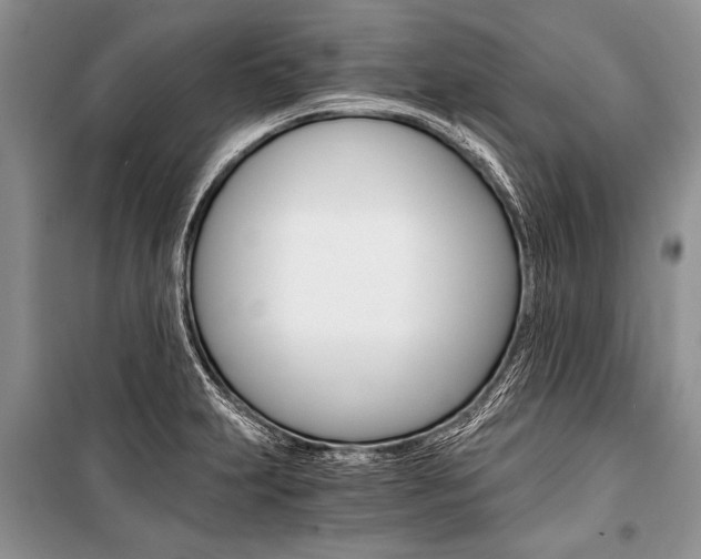 X0000101111231200806261101