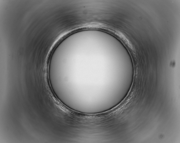 X0000101111232200806261101