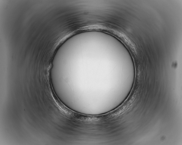 X0000101111233200806261101