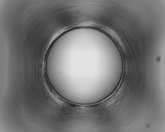 X0000101111234200806261101