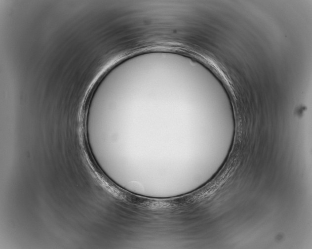 X0000101111235200806261101