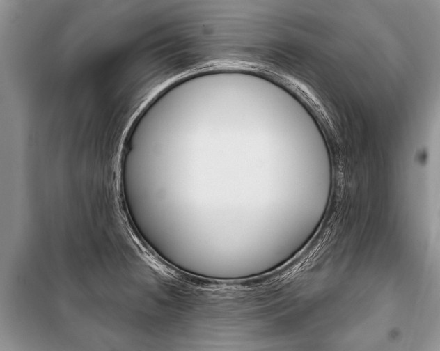 X0000101111236200806261101
