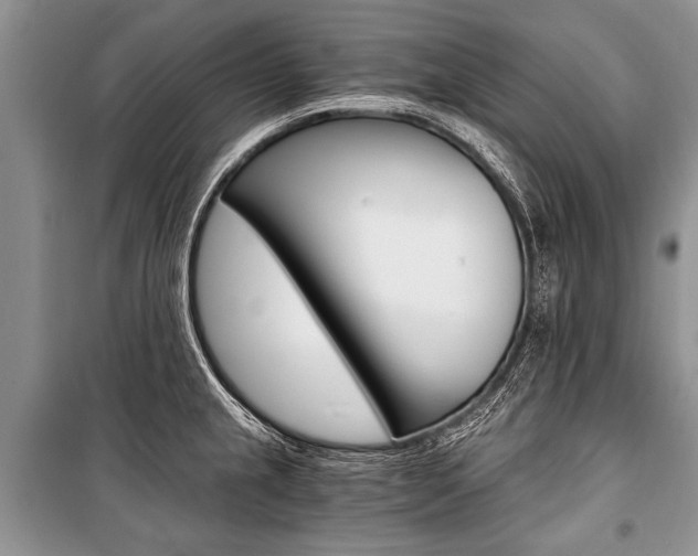 X0000101111237200806261101