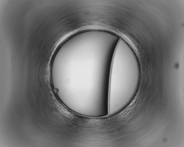 X0000101111238200806261101