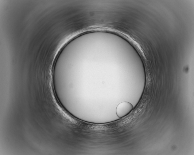 X0000101111239200806261101