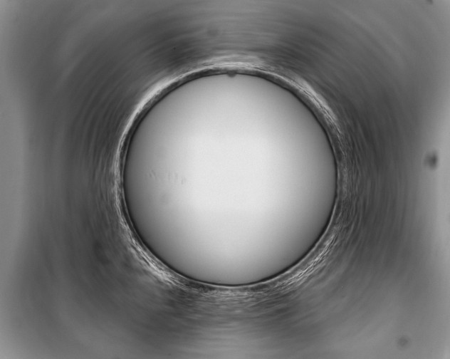 X0000101111240200806261101