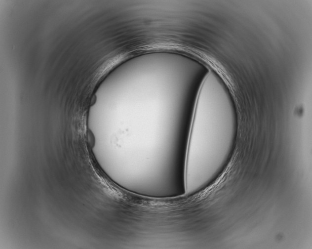 X0000101111241200806261101