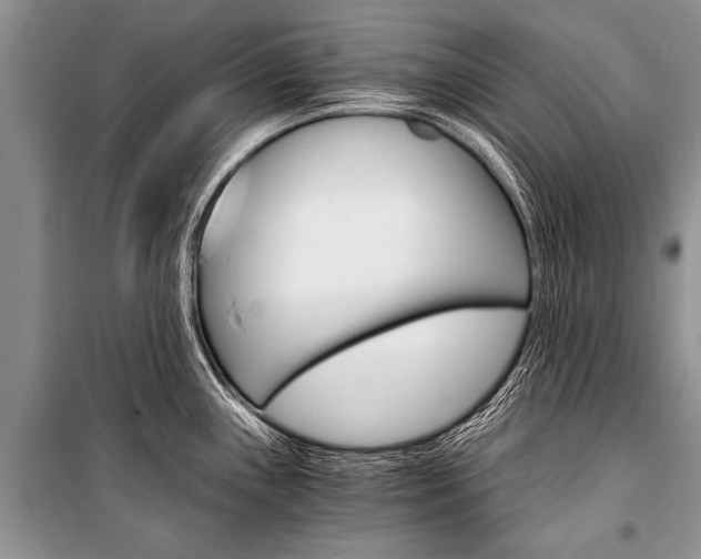 X0000101111243200806261101