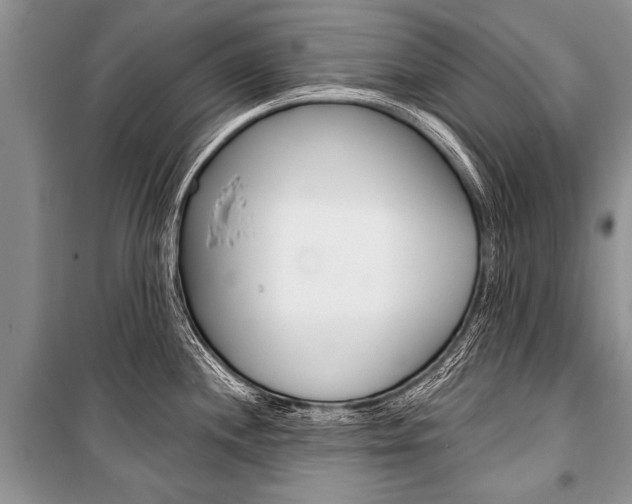 X0000101111244200806261101