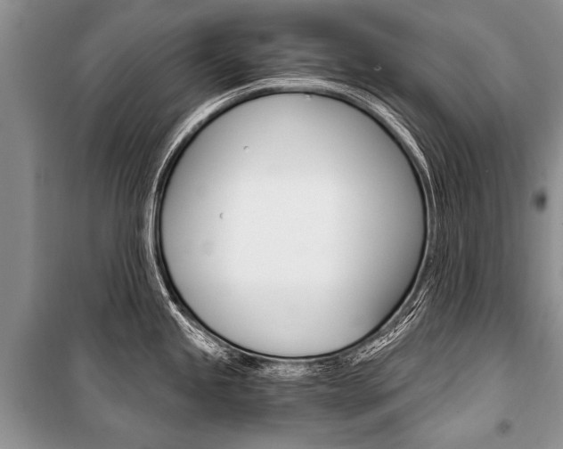 X0000101111245200806261101