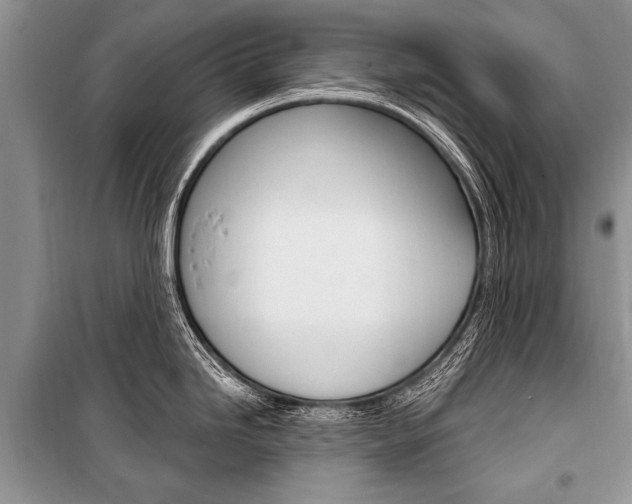 X0000101111246200806261101