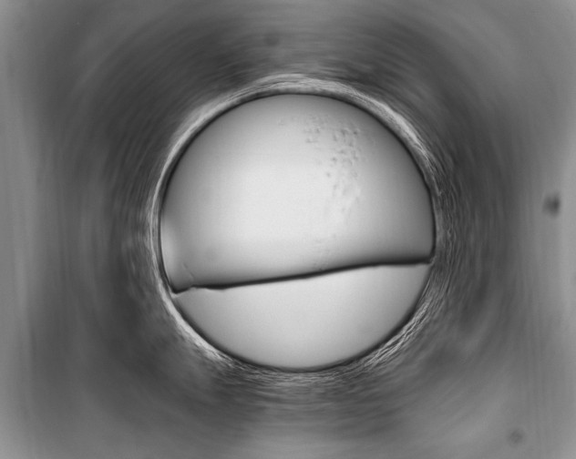 X0000101111247200806261101