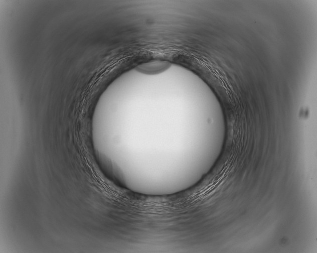 X0000101111249200806261100