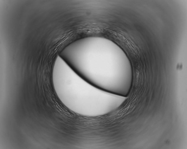 X0000101111250200806261100