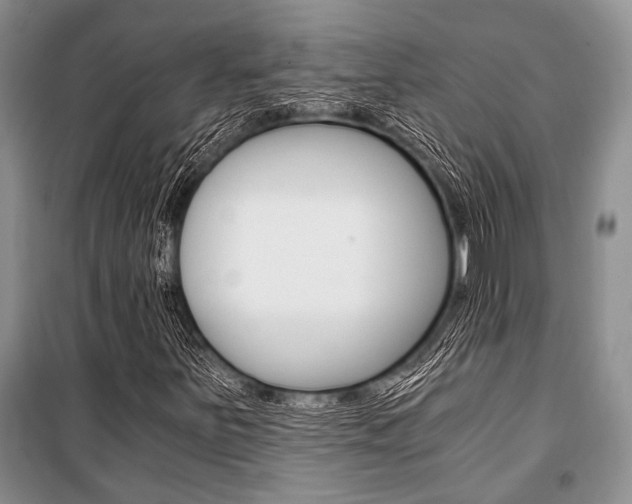 X0000101111251200806261100