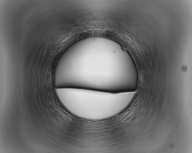X0000101111252200806261100