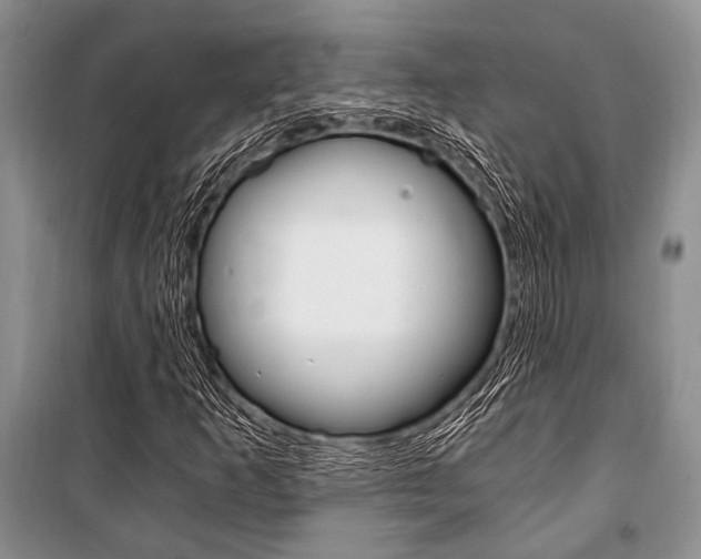 X0000101111253200806261100
