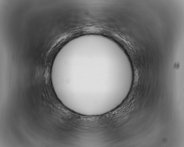 X0000101111254200806261100