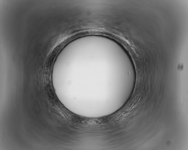 X0000101111255200806261100