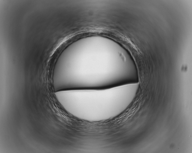 X0000101111256200806261100
