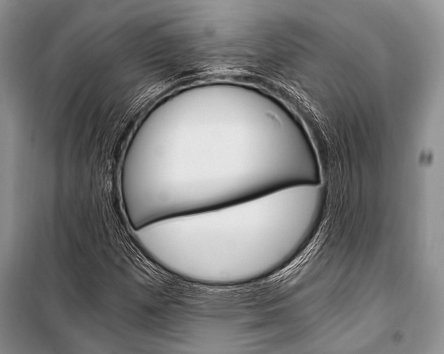 X0000101111257200806261100