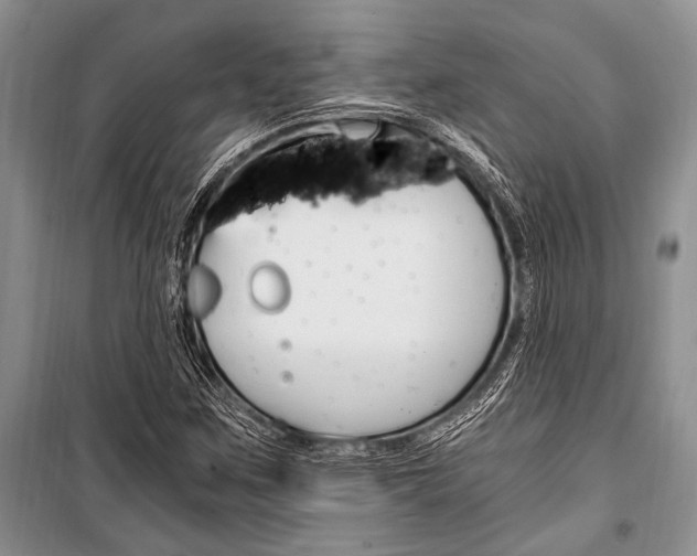 X0000101111259200806261100