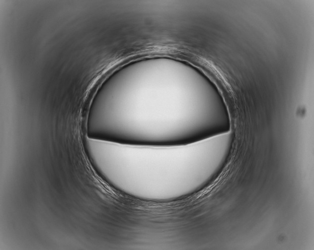 X0000101111260200806261100