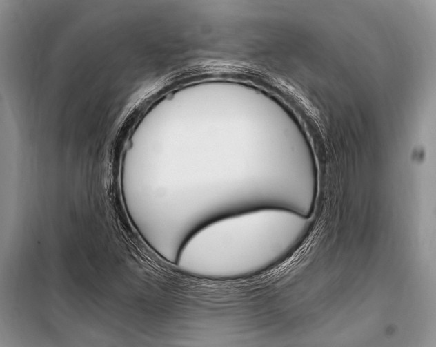 X0000101111261200806261100