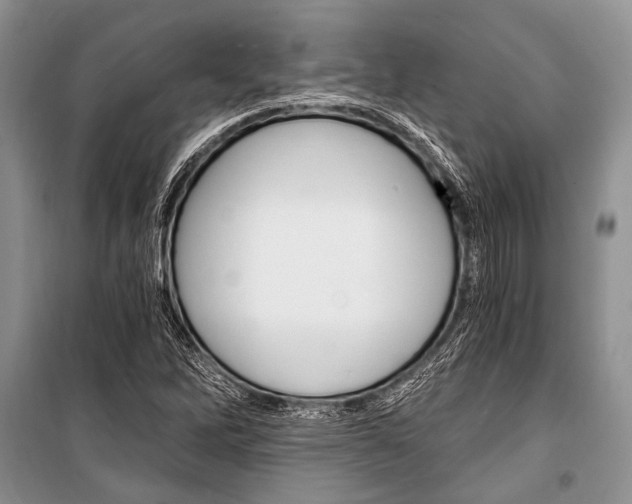 X0000101111262200806261100