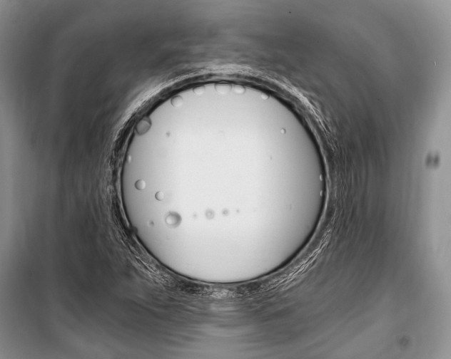 X0000101111263200806261100