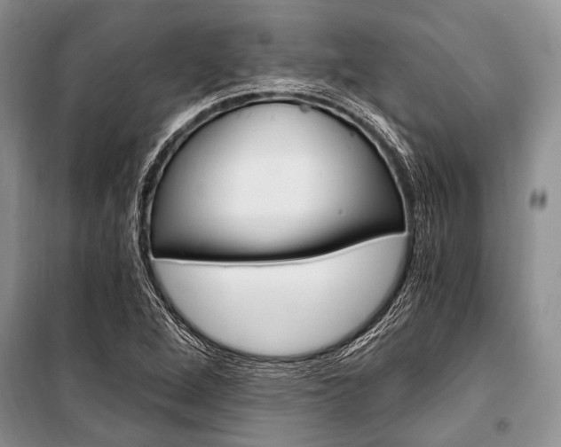 X0000101111264200806261100