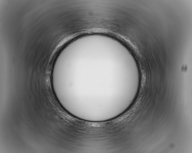 X0000101111266200806261100