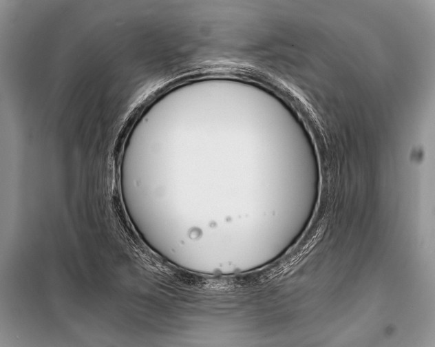 X0000101111267200806261100