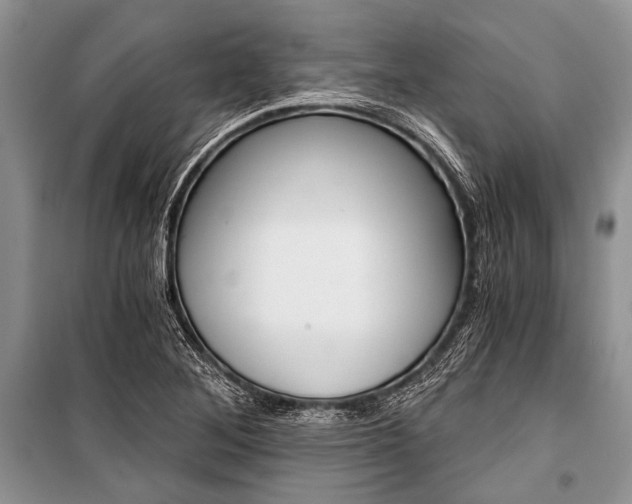 X0000101111268200806261100