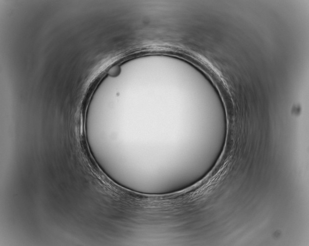 X0000101111269200806261100