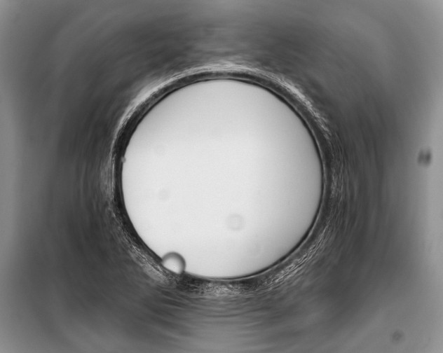 X0000101111270200806261100