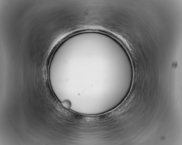 X0000101111271200806261100