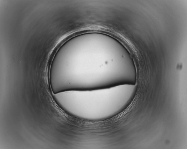 X0000101111272200806261100