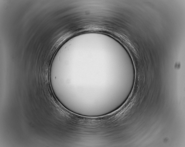 X0000101111273200806261100