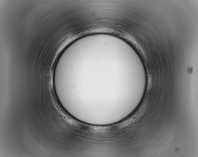 X0000101111274200806261100