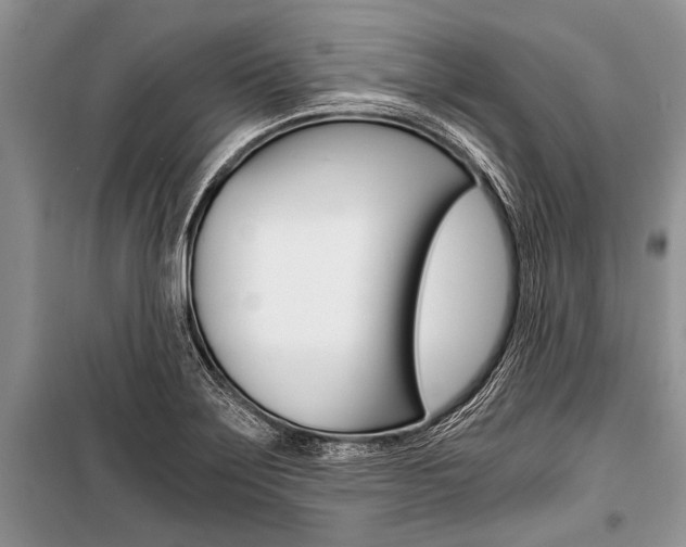 X0000101111275200806261100